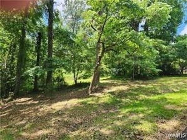 3833 Springhill Drive, Tuscaloosa, AL 35405