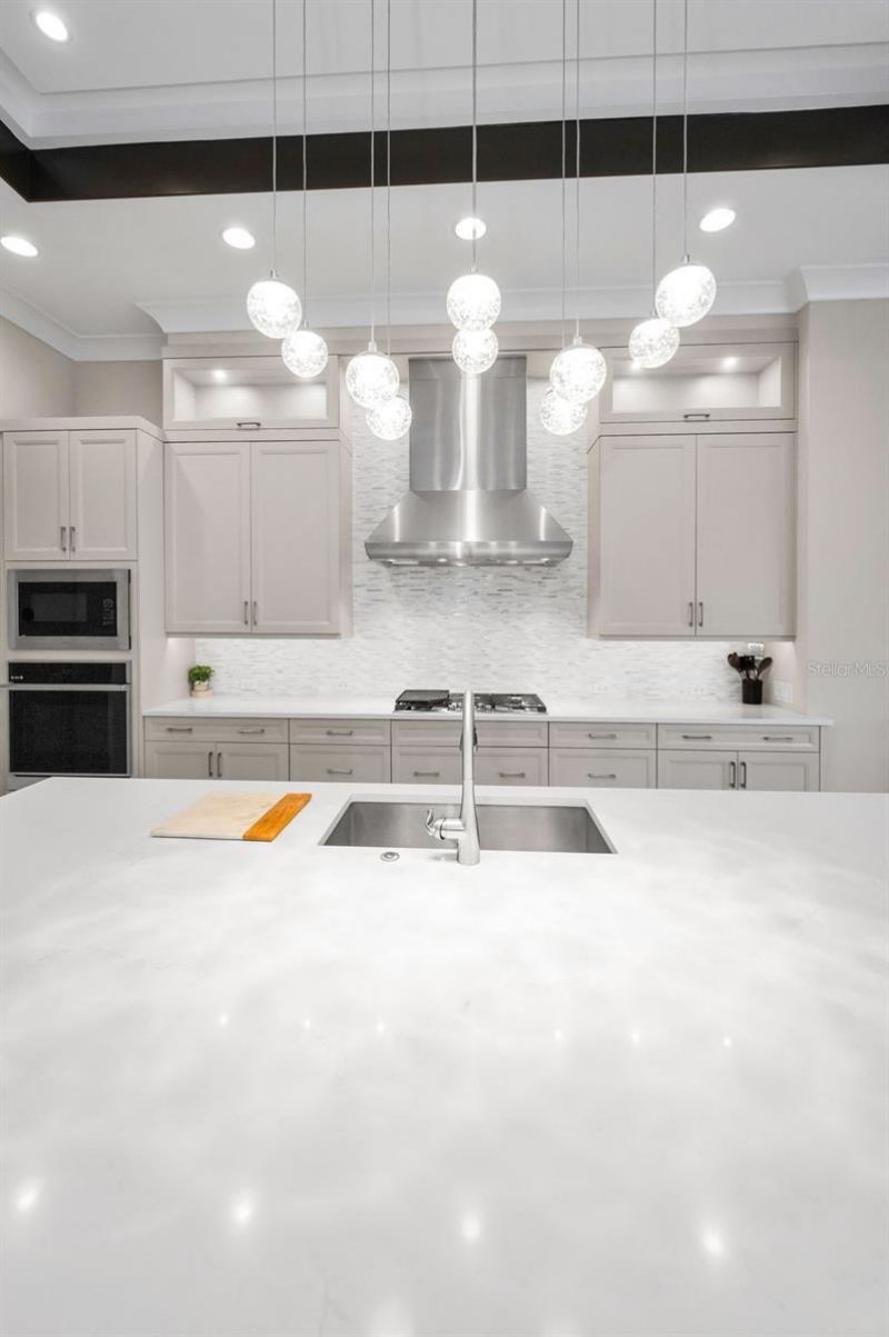 9704 Milano Drive, Trinity, FL 34655 Photo