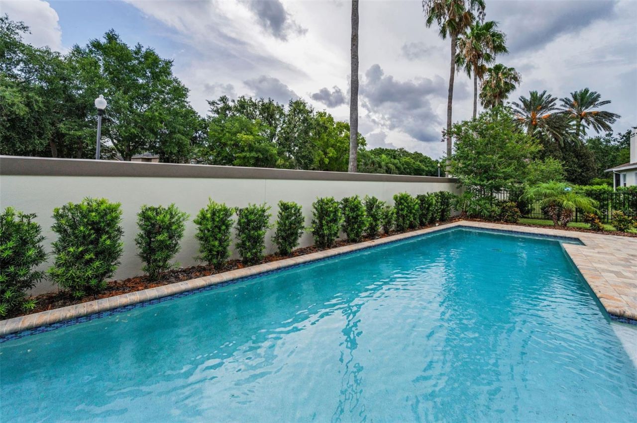 9704 Milano Drive, Trinity, FL 34655 Photo