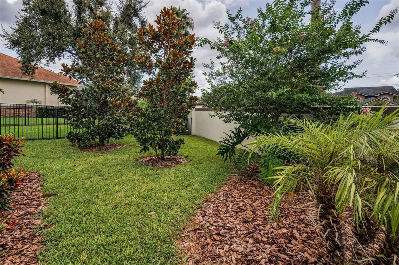 9704 Milano Drive, Trinity, FL 34655 Photo