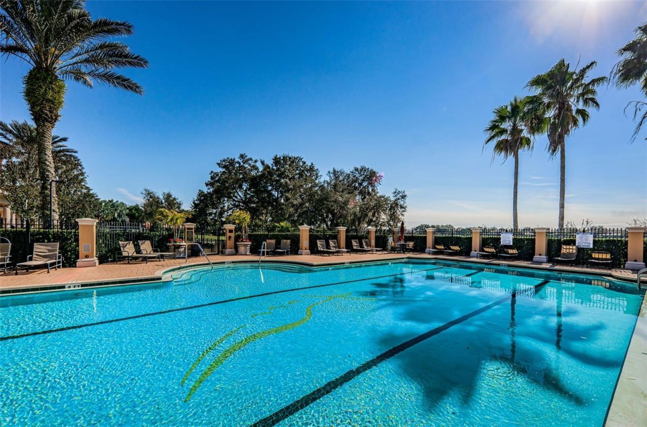 9704 Milano Drive, Trinity, FL 34655 Photo