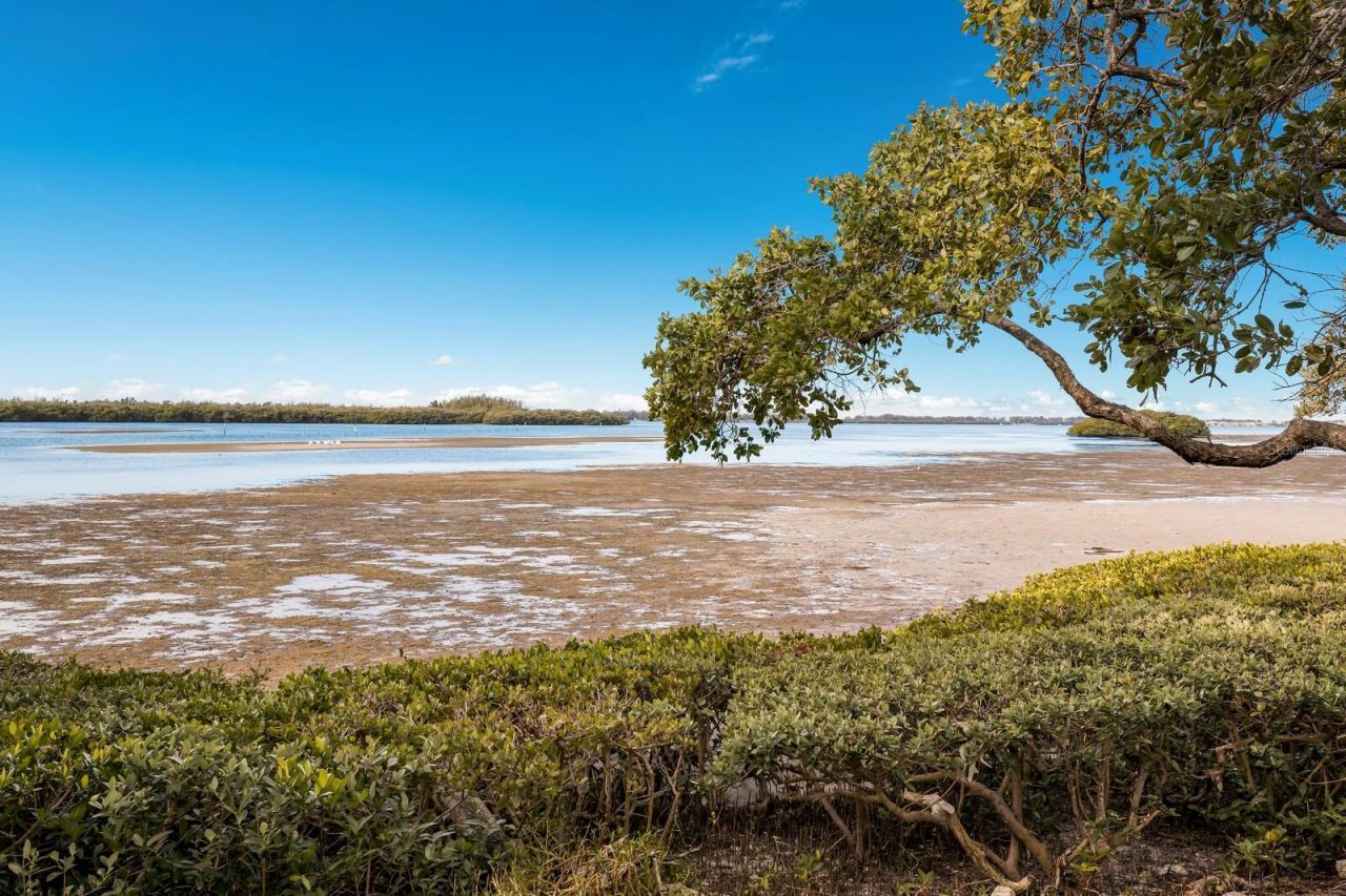 4414 Mount Vernon Drive, Unit 1, Bradenton, FL 34210 Photo