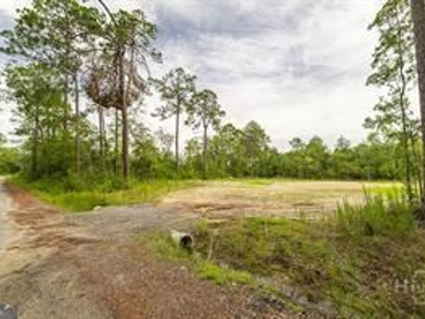 0 Zettler Road, Springfield, GA 31329
