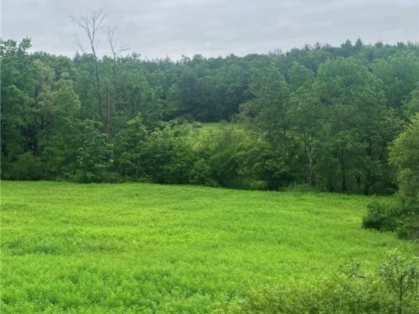 00 Oregon Road, Gilbertsville, NY 13776