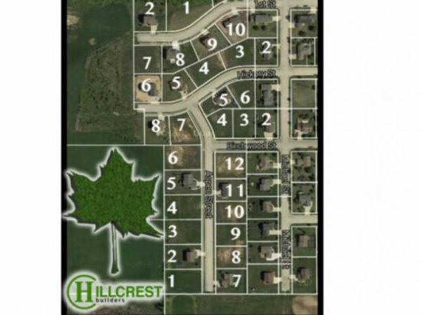 Lt3 BIRCHWOOD STREET, Belgium, WI 53004