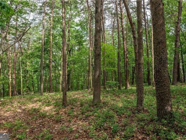 206R Mystic Trail Lane, Jasper, GA 30143