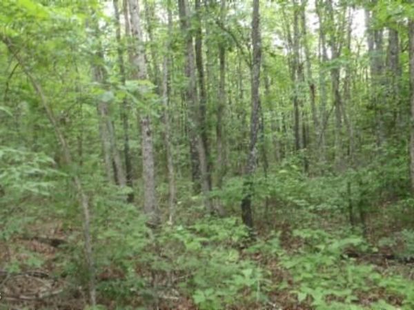 Lot 222 Hilltop Lane, Wilder, TN 38589