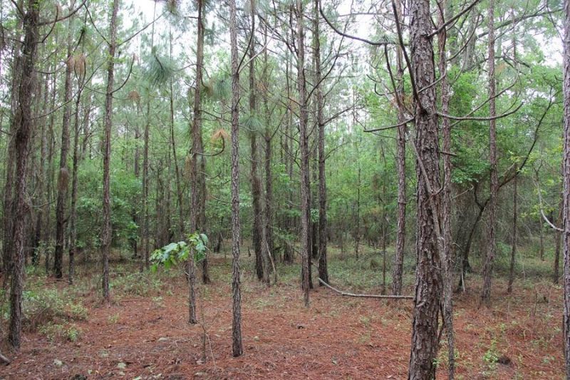 00 Stacey Bridge Rd Photo 10