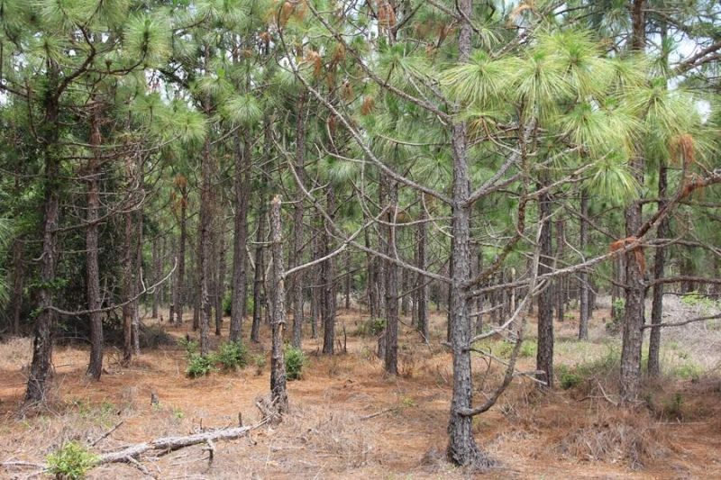 00 Stacey Bridge Rd Photo 12