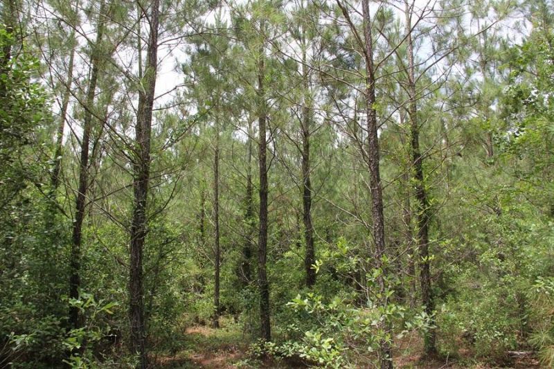 00 Stacey Bridge Rd Photo 7