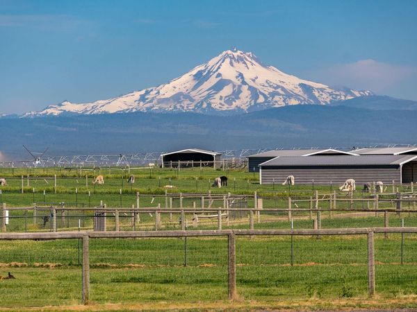 12444 SW Green Drive, Culver, OR 97734