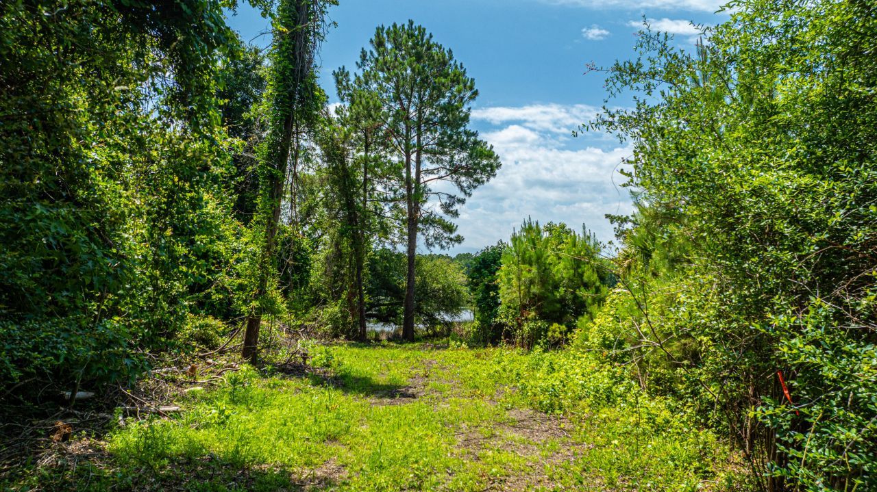 6076 Overlook Road Photo 11