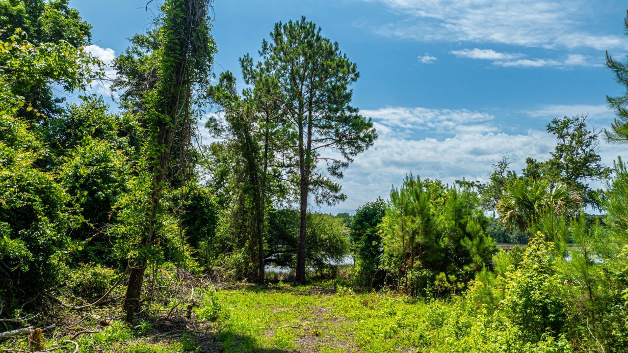 6076 Overlook Road Photo 12