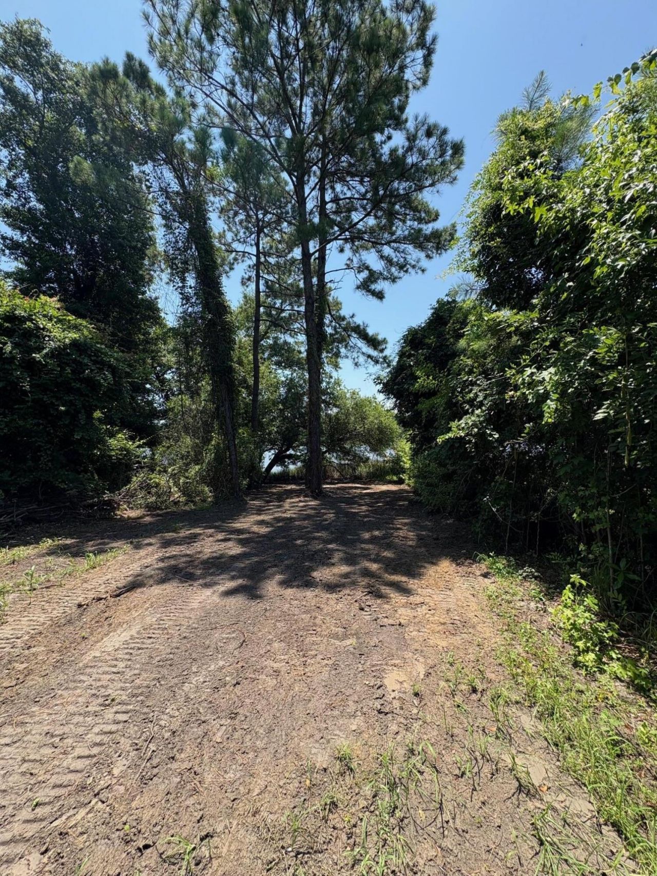 6076 Overlook Road Photo 7