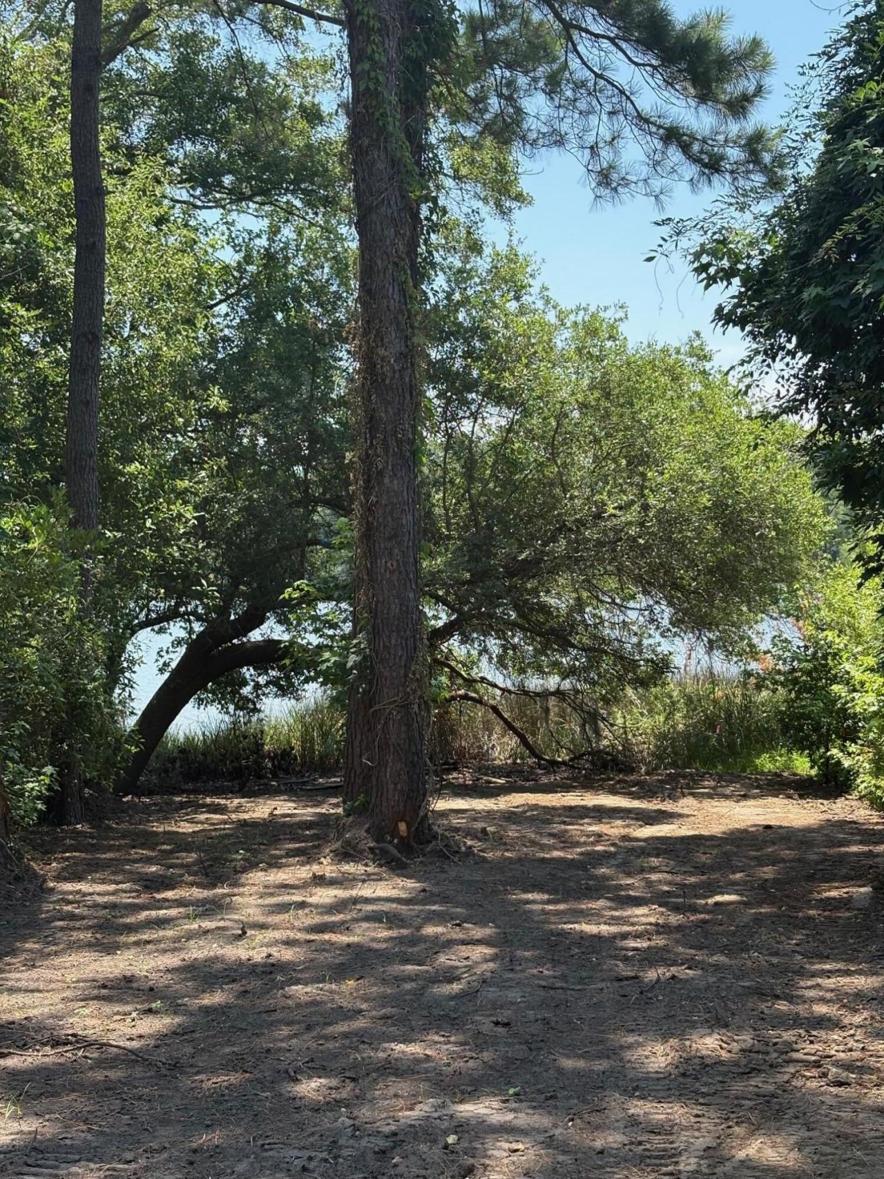 6076 Overlook Road Photo 8