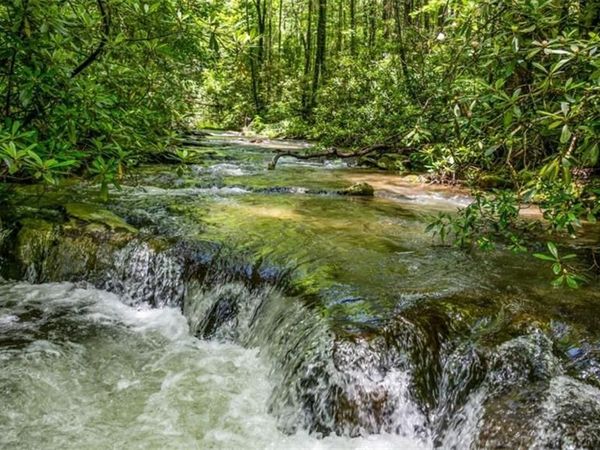 10323 Grassy Mountain Road, Ellijay, GA 30540