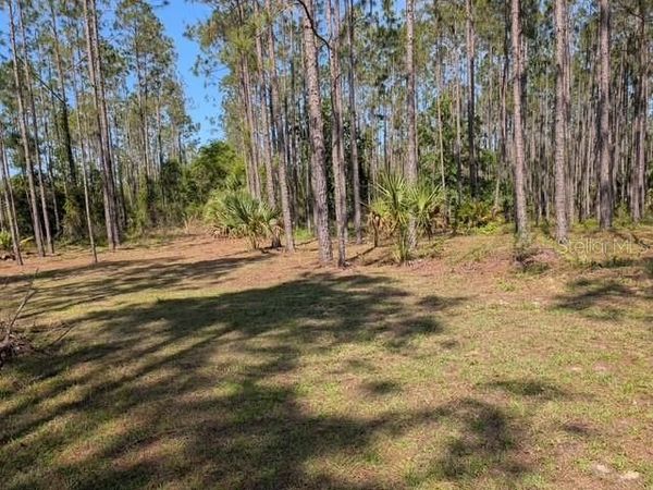 540 SW 326TH AVENUE, STEINHATCHEE, FL 32359