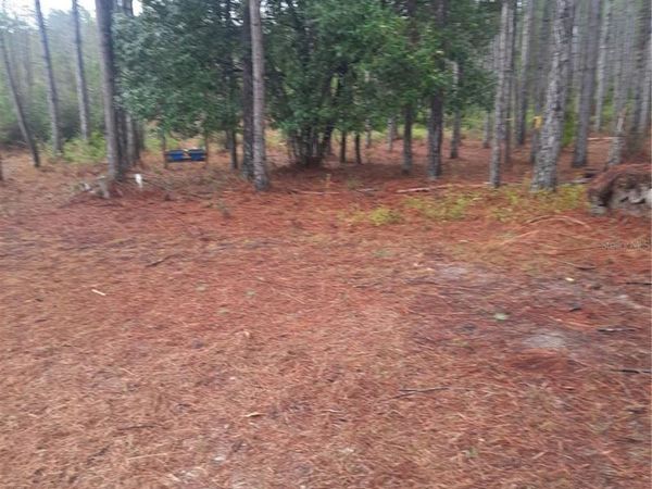 540 SW 326TH AVENUE, STEINHATCHEE, FL 32359