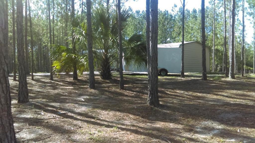 540 SW 326th Avenue, Steinhatchee, FL 32359 Photo