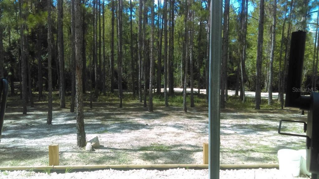 540 SW 326th Avenue, Steinhatchee, FL 32359 Photo