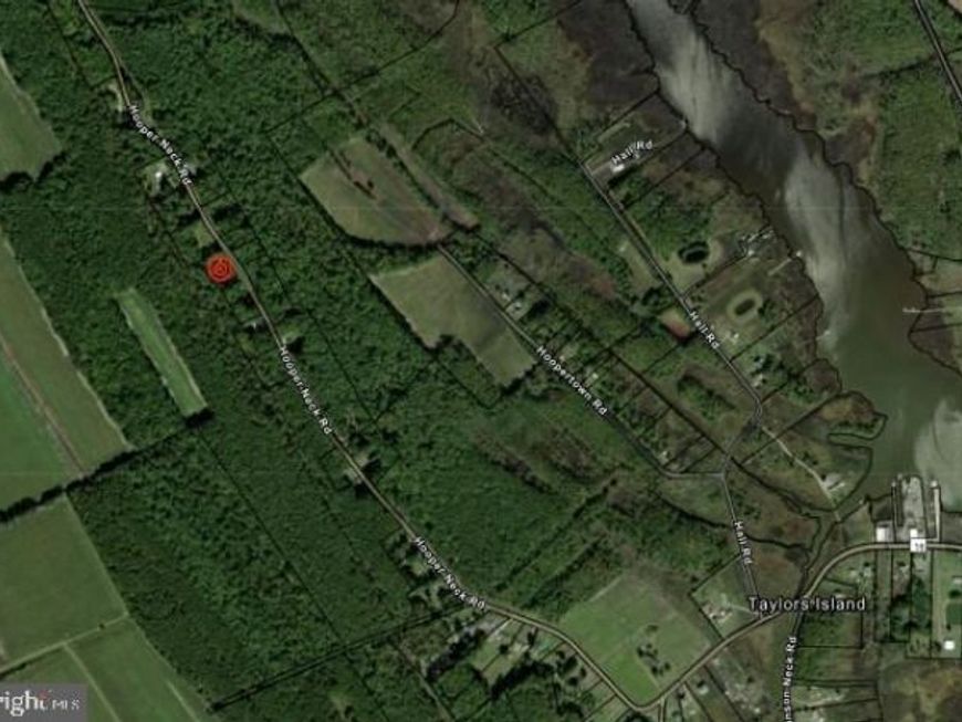 000 Hoopers Neck Road, Taylors Island, MD 21669 Main Photo