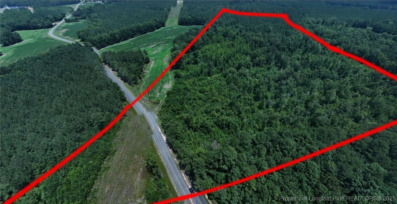 0000 Covington Road, Bunnlevel, NC 28323 Main Photo