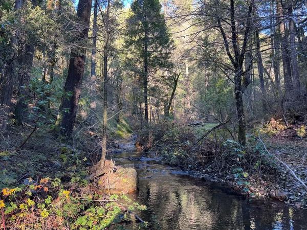 Georgetown, CA 95634