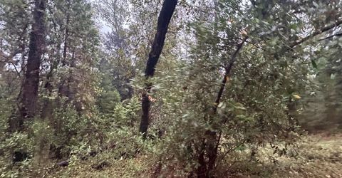 Please Call For Address, Georgetown, CA 95634 Photo