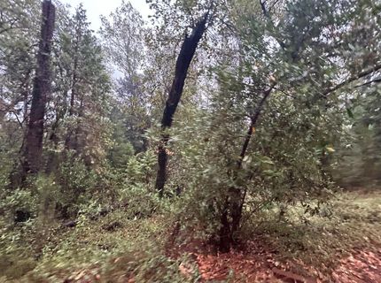 Please Call For Address, Georgetown, CA 95634 Photo