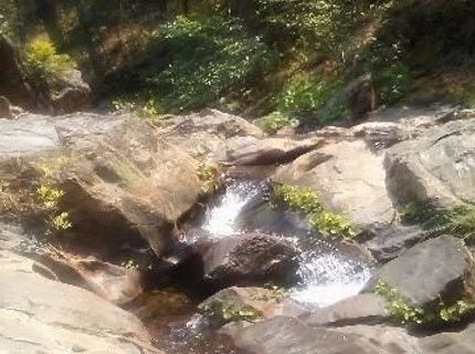 Please Call For Address, Georgetown, CA 95634 Photo