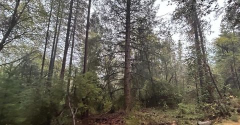 Please Call For Address, Georgetown, CA 95634 Photo