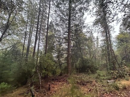 Please Call For Address, Georgetown, CA 95634 Photo