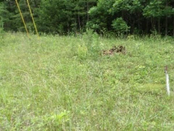 Lot 48 Parkstown Ext. Rd , Wilder, TN 38589