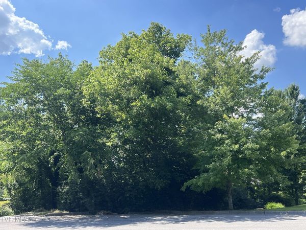 Lot 21 Ledges Drive, Kingsport, TN 37664