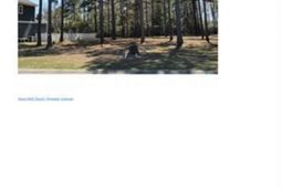 1152 Fiddlehead Way photo 4