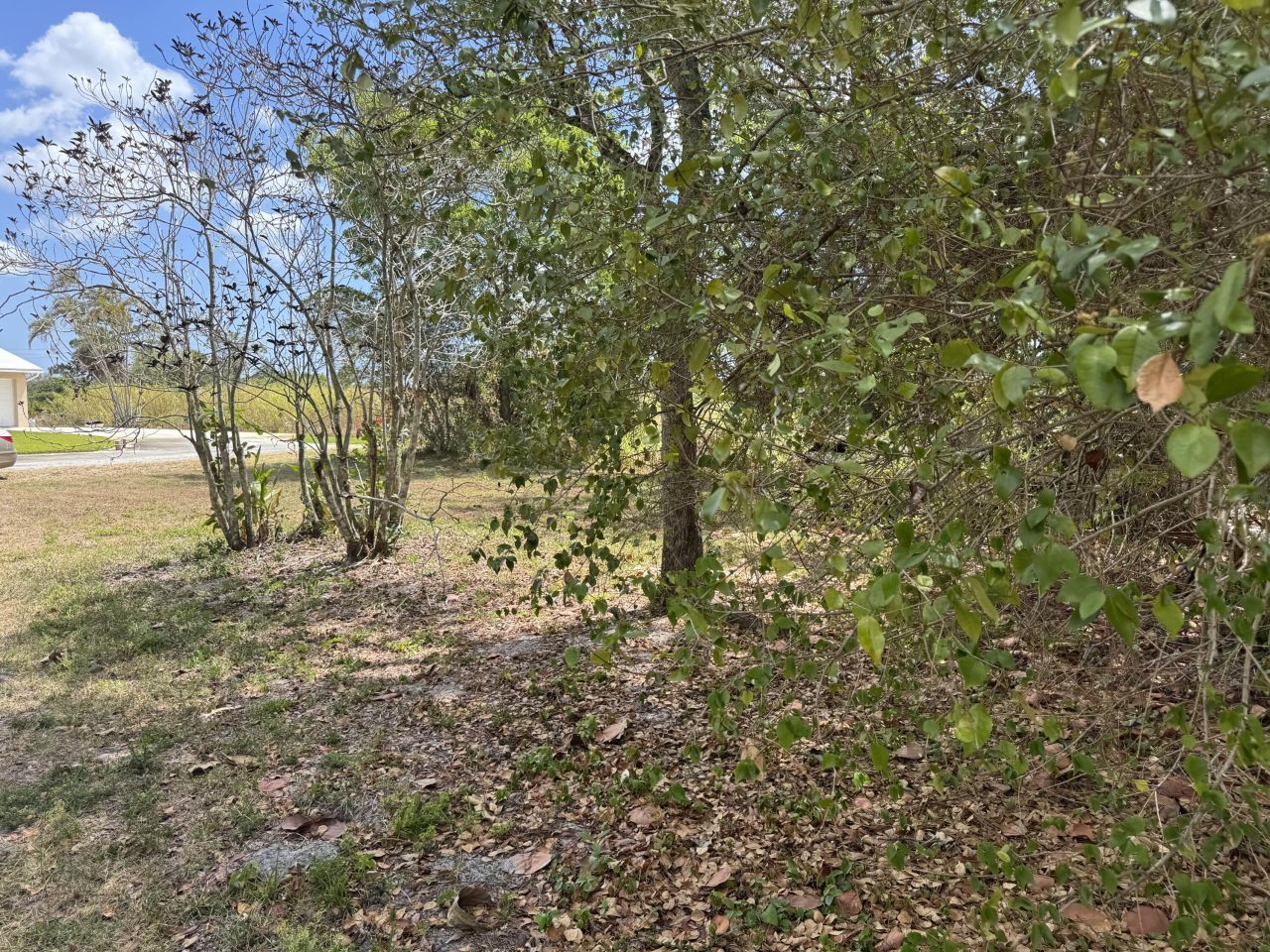 3358 S Jog Road, Greenacres, FL 33467 Photo