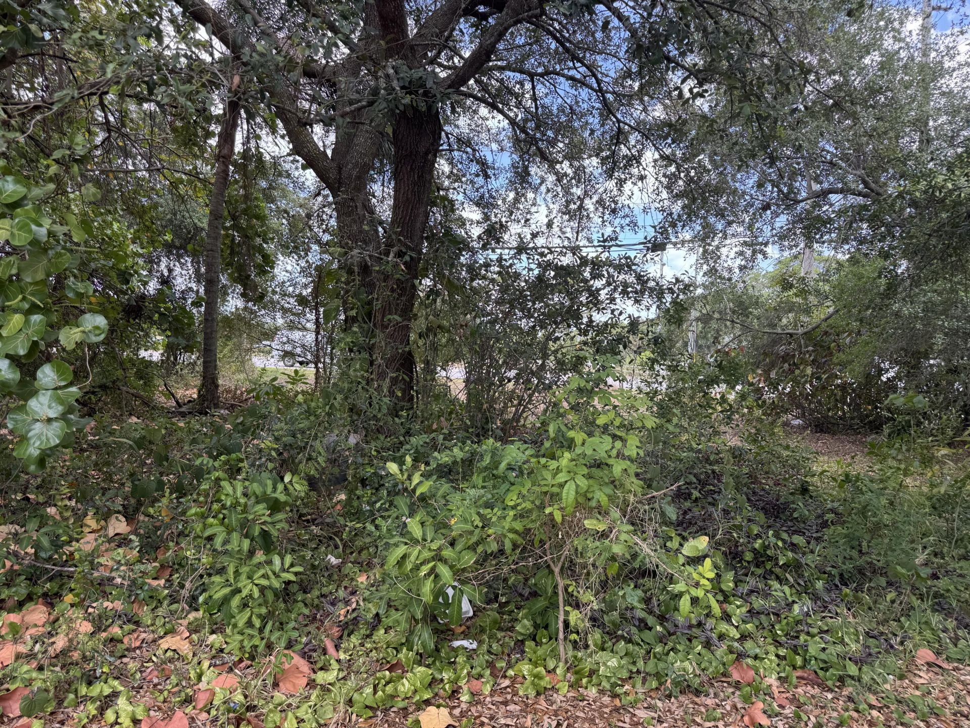 3358 S Jog Road, Greenacres, FL 33467 Photo