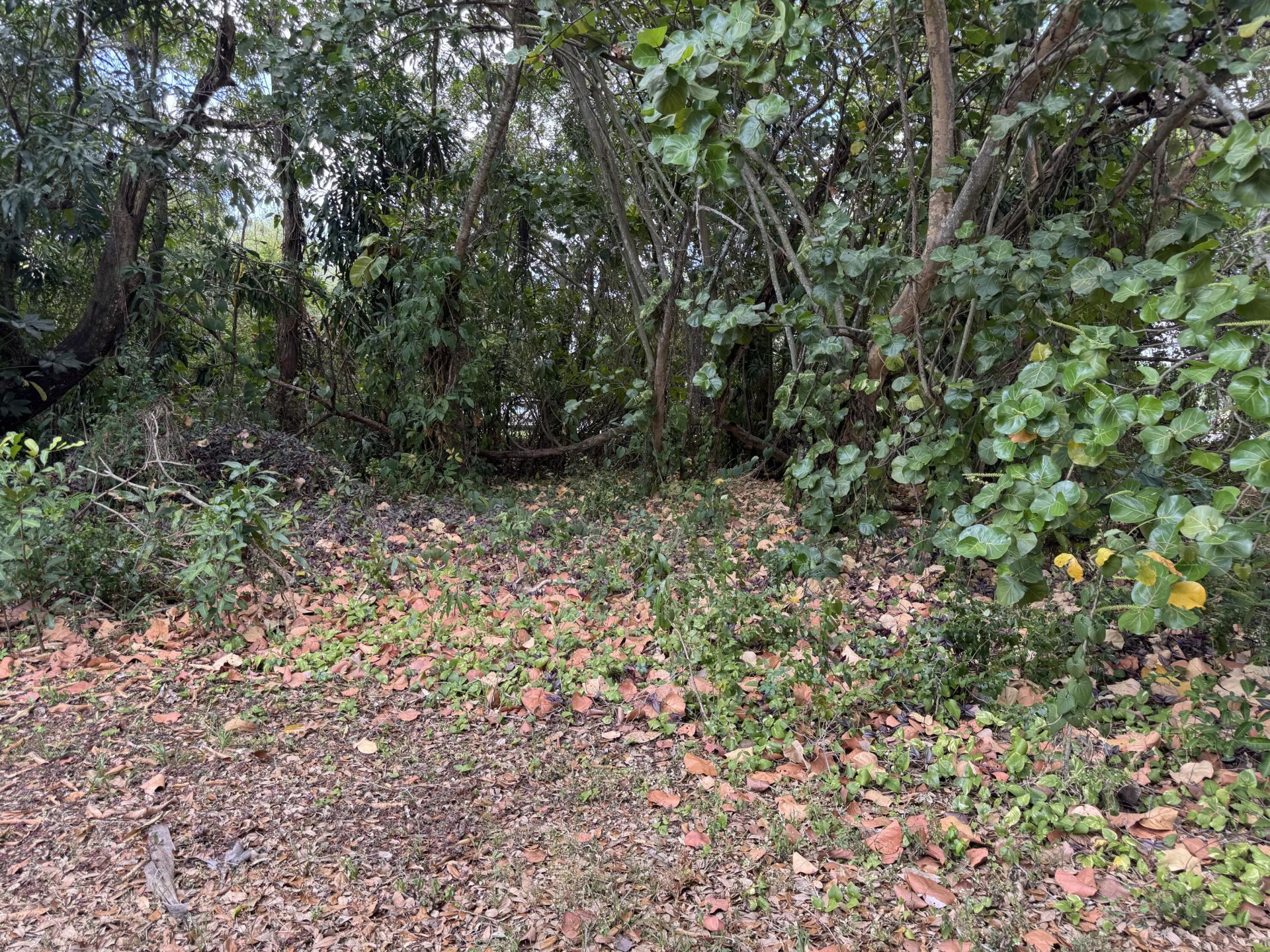 3358 S Jog Road, Greenacres, FL 33467 Photo