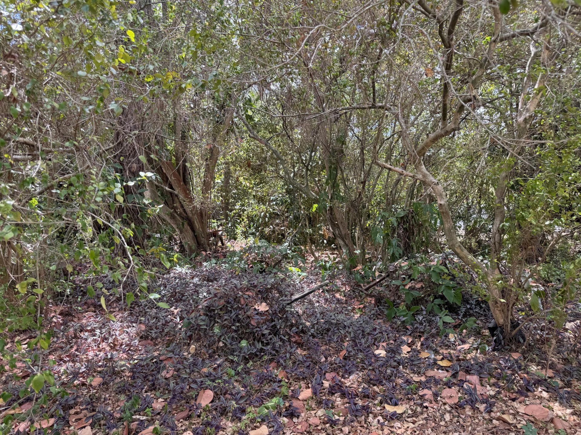 3358 S Jog Road, Greenacres, FL 33467 Photo