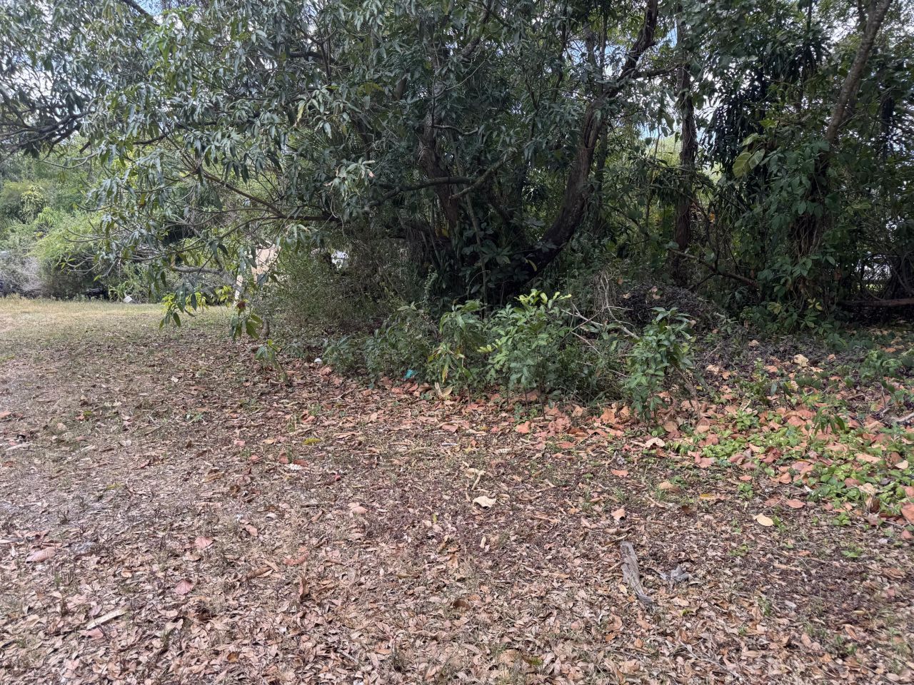 3358 S Jog Road, Greenacres, FL 33467 Photo