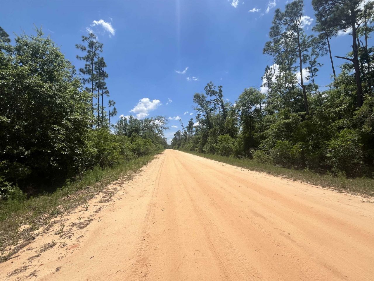 Tbd Tamarac Road, Marianna, FL 32448 Photo