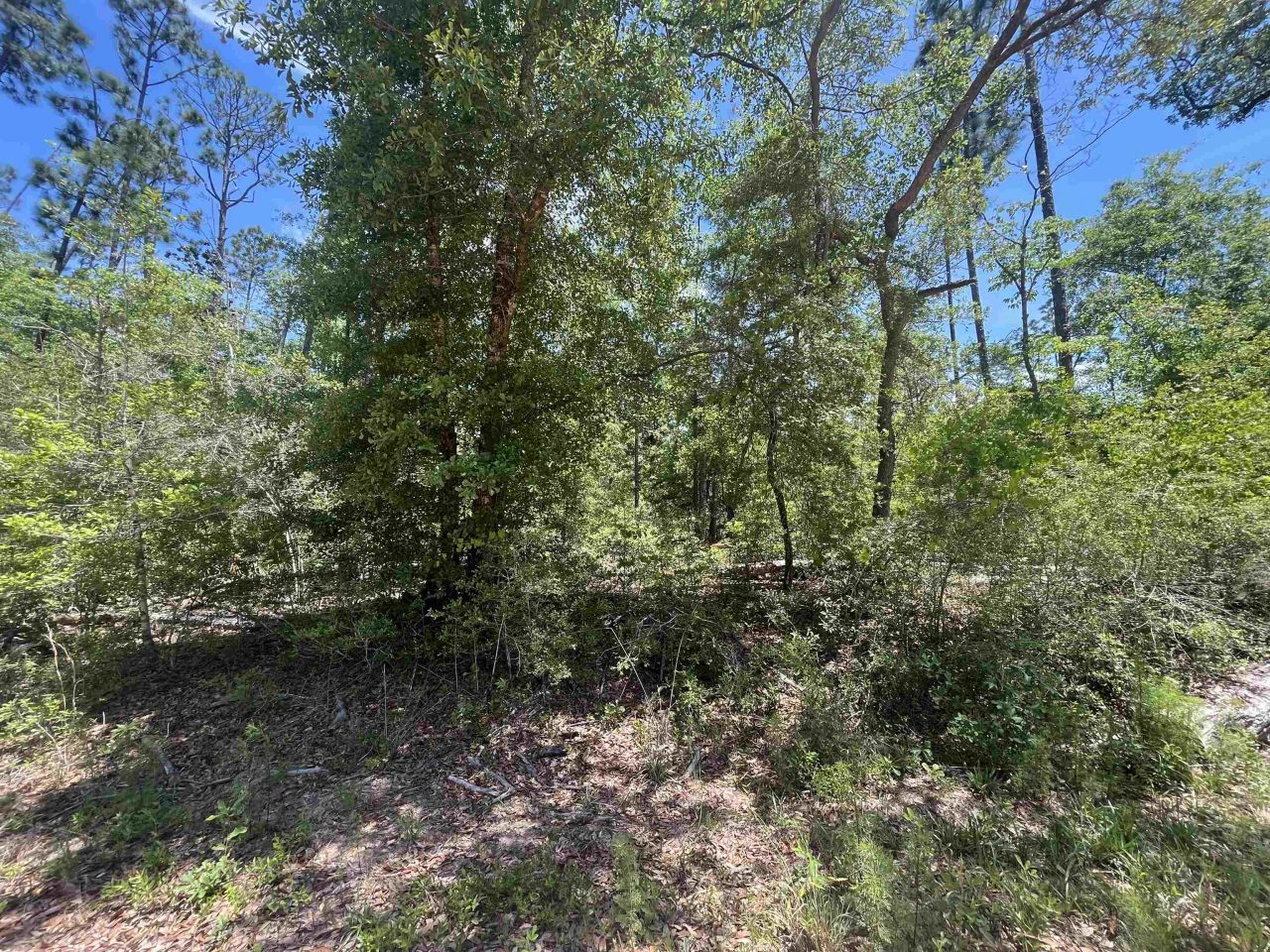 Tbd Tamarac Road, Marianna, FL 32448 Photo