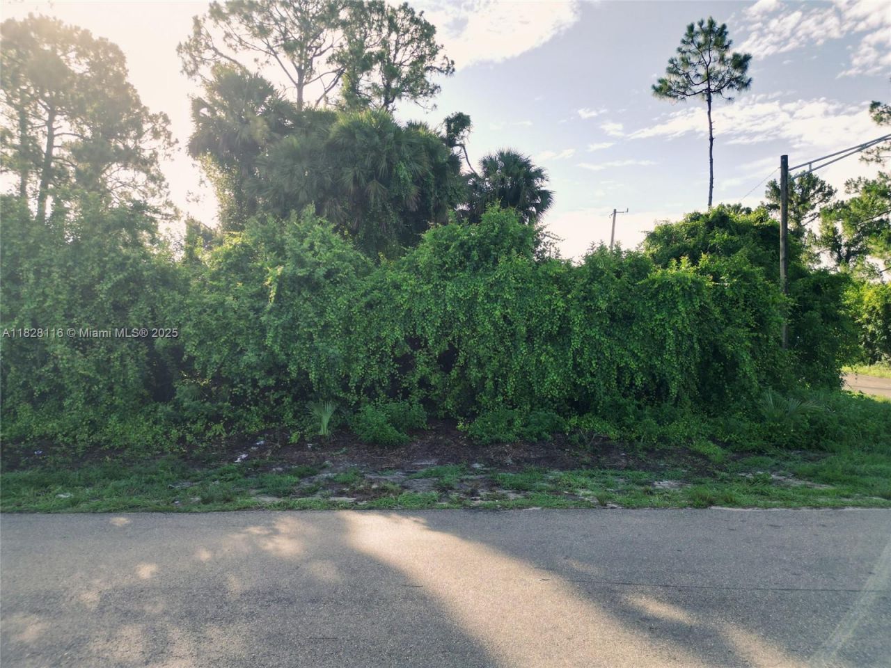 953 Lytle St E, Lehigh Acres, FL 33974 Photo