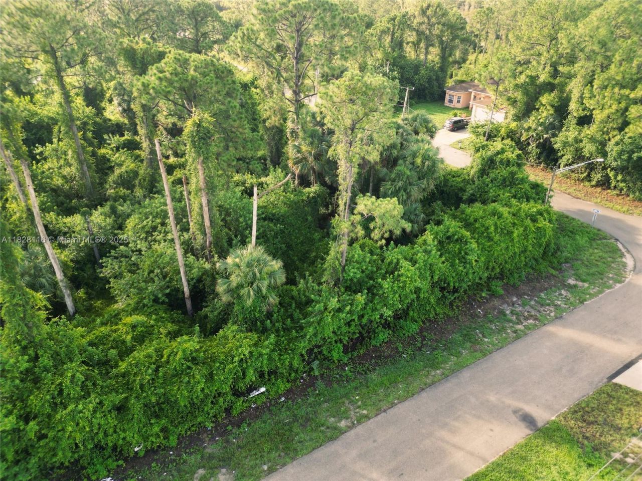 953 Lytle St E, Lehigh Acres, FL 33974 Photo