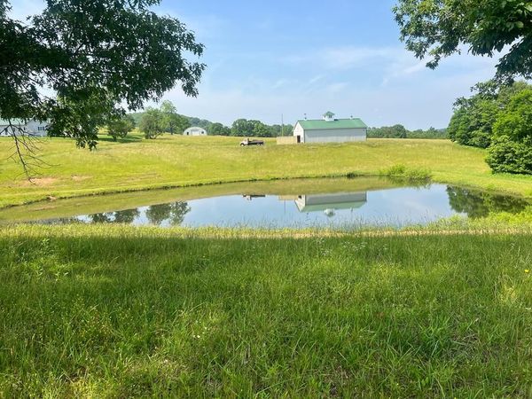 2358 White Tree Hill Road, BALLARD, WV 24918