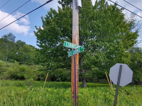 Old Loomis Road, Liberty, NY 12734