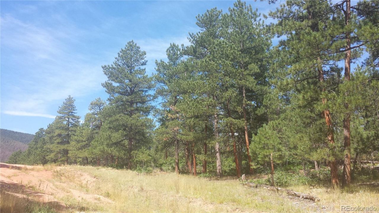 4467 Delaware Drive, Larkspur, CO 80118 Main Photo