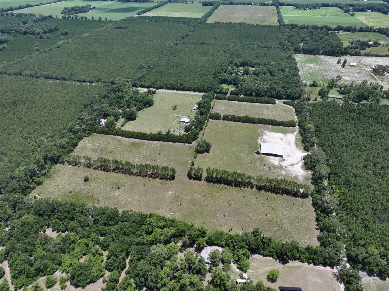 6900 SW 50th Avenue, Trenton, FL 32693 Photo