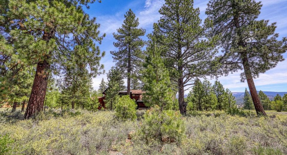 12447 Settlers Lane, Truckee, CA 96161 Photo