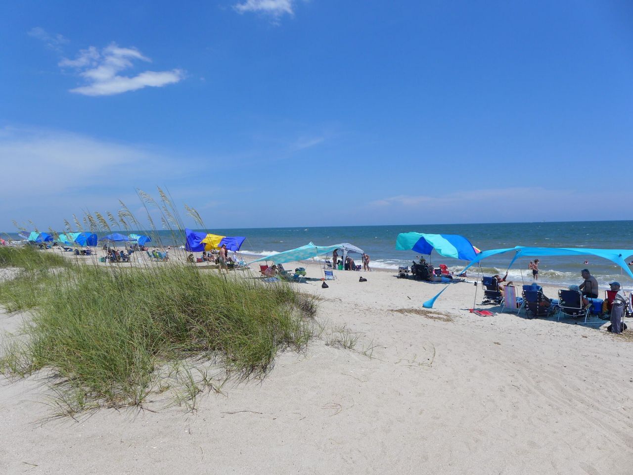 1001 Palmetto Boulevard Photo 35